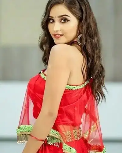 Call Girls Service Phullen